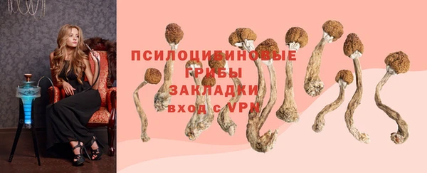 тгк Абдулино